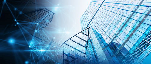 強化信息技術對國家治理體系和治理能力現代化的支撐